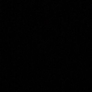 Meet your Posher, Ronni